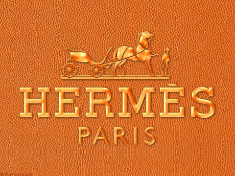 Hermes Logo on Bag